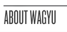 K>P WAGYU : About Wagyu